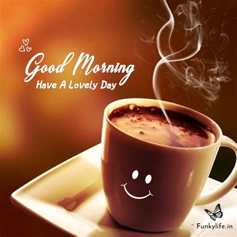 Morning Love .